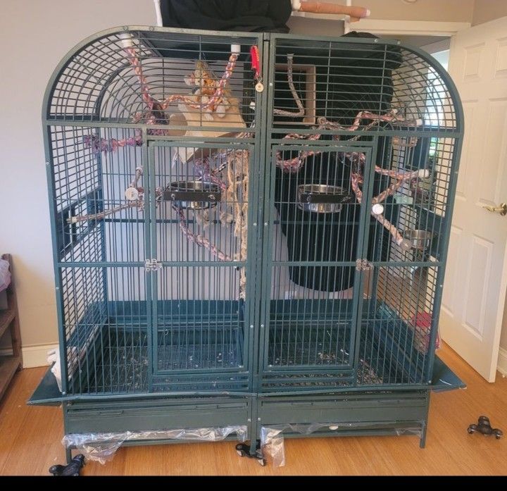 Cage Bird Parrot Monkey Cage