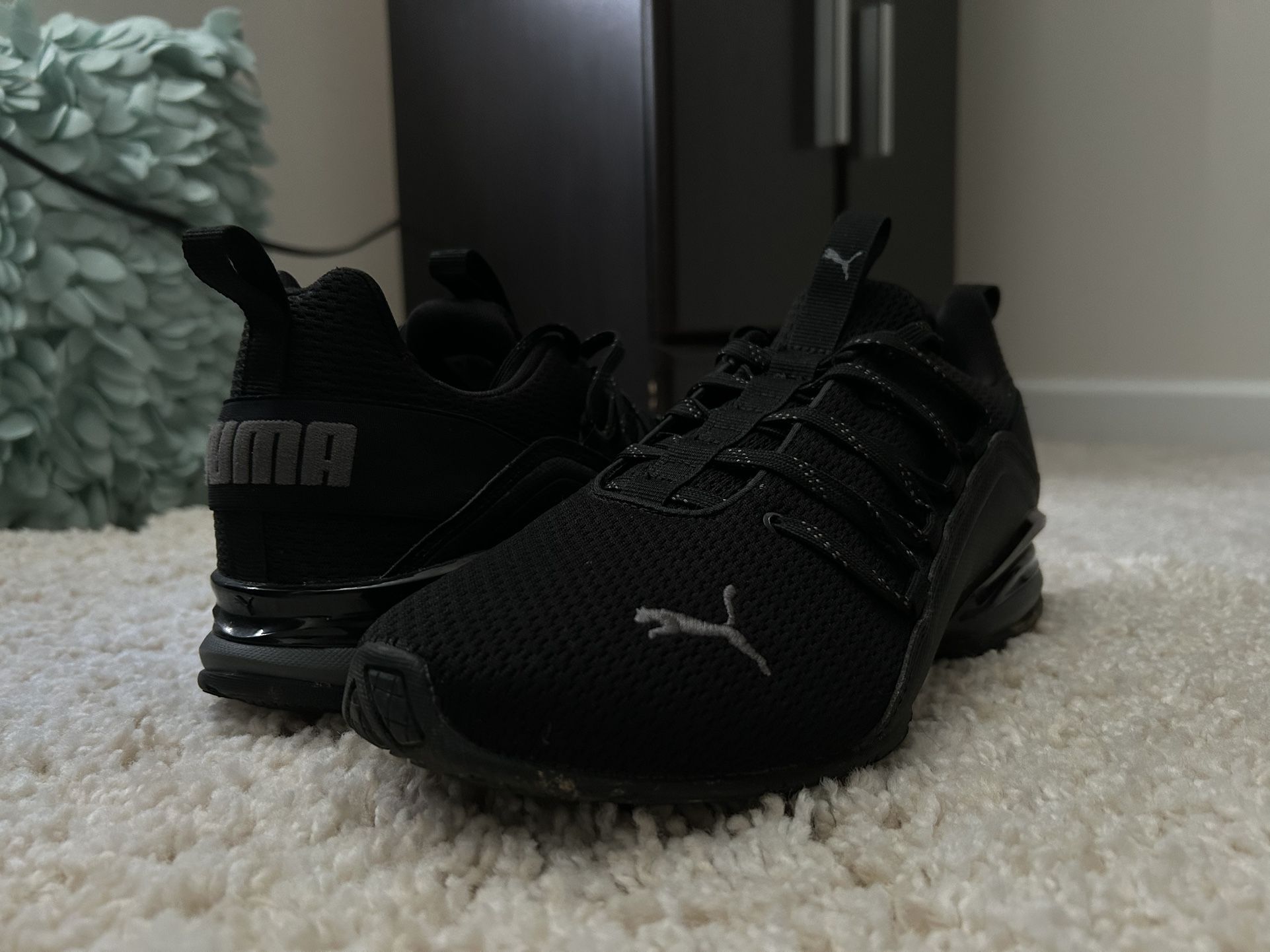 Puma