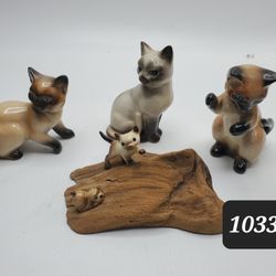 Cute Siamese Cats 