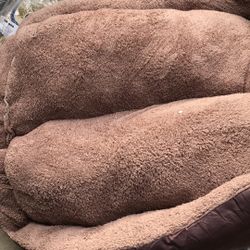 Dog Bed