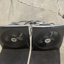 Fans