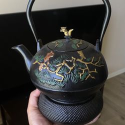 Cast Iron Japanese Tea pot with metal mesh infuser Black Nature Design
