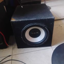 10" Infinity Sub Woofer