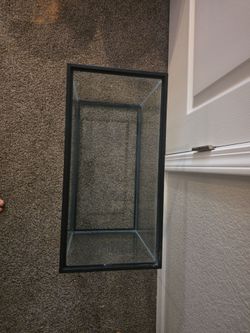 10gallon aquarium