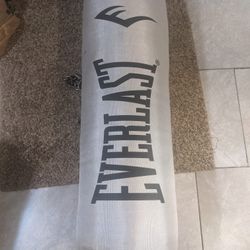 Everlast Platinum Punching Bag With Chain