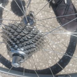 Campagnolo Rear Wheel with 10 Speed Campy Cassette Tire and Tube - $40 FIRM 