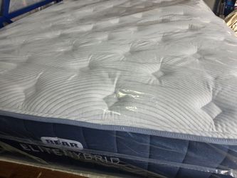 Queen Bear Elite Hybrid Mattress - Like New