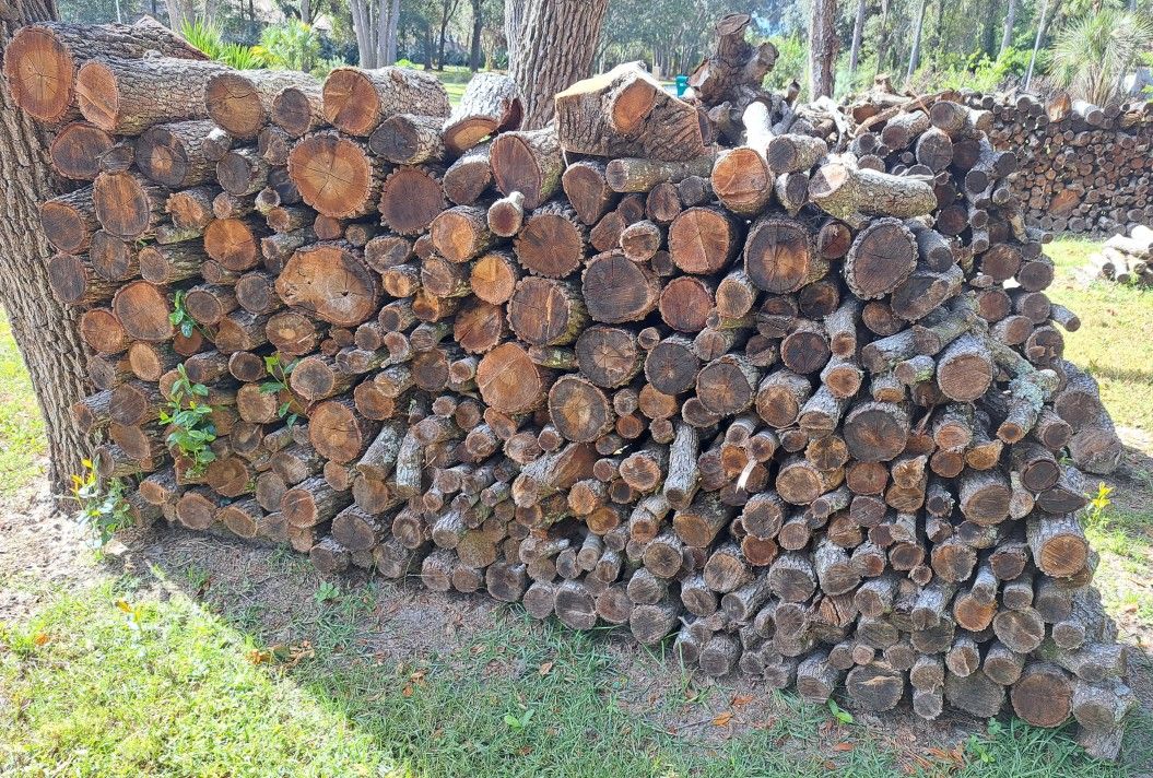 Firewood 8x4 OAK