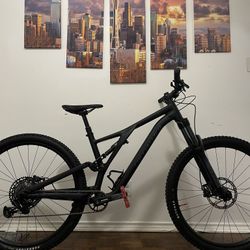 2023 Specialized Stumpjumper Alloy | Large | Mountain Bike