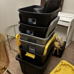 Container Boxes