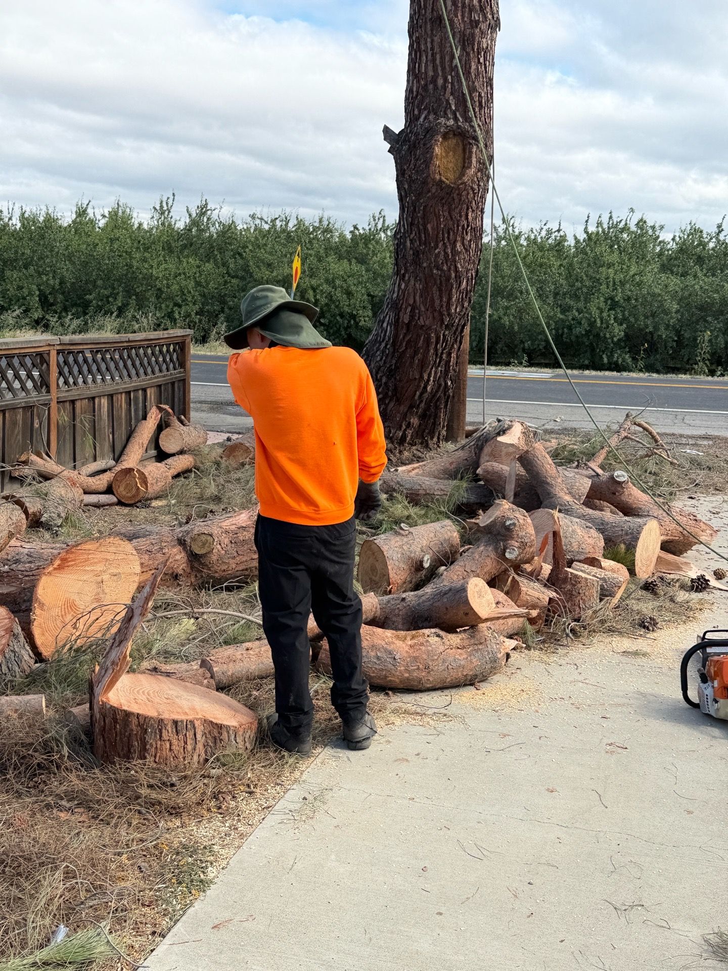 pine wood