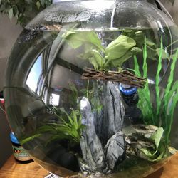 biOrb Fish tank 16gallon