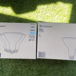 Ecosmart Led Lightbulb