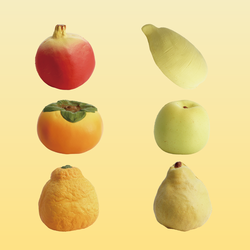 Fruits Squishes