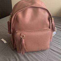 Skip Hop Diaper Bag