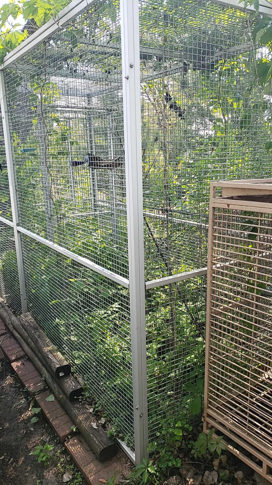 Bird Aviary (cage)