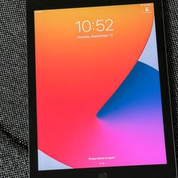 iPad 6 , Sixth Generation,  Unlocked  Cellular and iCloud , Wi-Fi  Internet, Excellent Condition,  Usable all Company  Sim