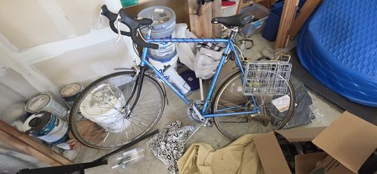80s Schwinn Road