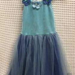 Blue Velour Princess Expressions Dance Dress Large