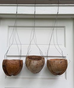3 hanging coconut shell planters