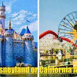 Family 4 Pack To Disneyland Or California Adventure Park