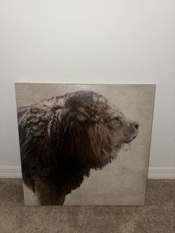Lion Canvas
