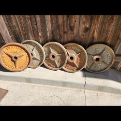 45lb Olympic Gym Weights Cast Iron $40 Each Firm Price 