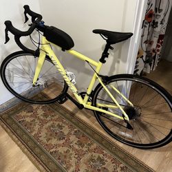 Road Bike (specialized) 