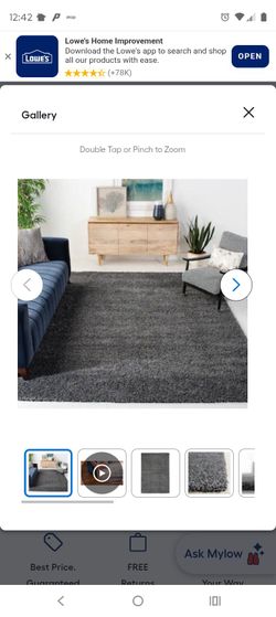 Area Rug, California Shag 11.5x 15 Safavie