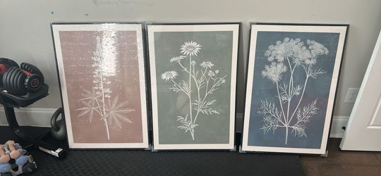 Botanical Framed Prints - New Set of 3 - 24”x32”