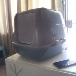 Kitty Litter Box