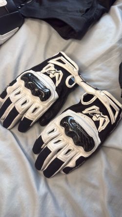 Alpine Boots and gloves