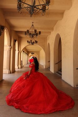 Quinceañera dress & items
