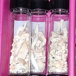 Oddity Vails of Bones - Display or Craft