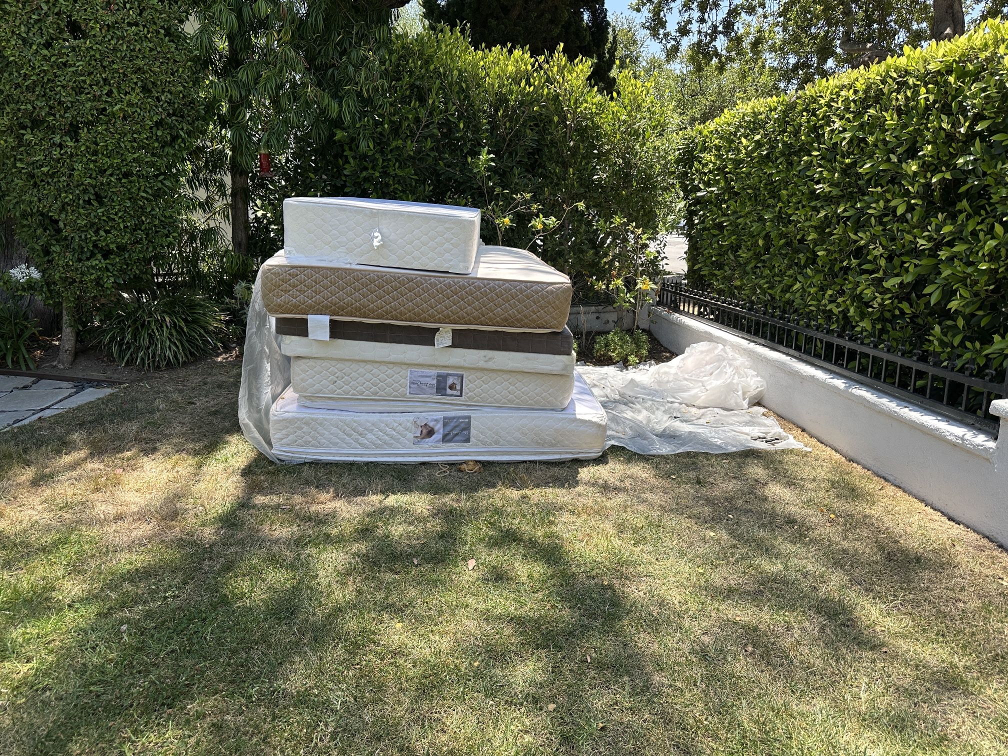 Free In Santa Monica