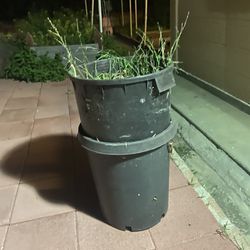 plastic bin for backyard 3 for $5