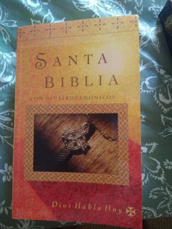 Bible new version