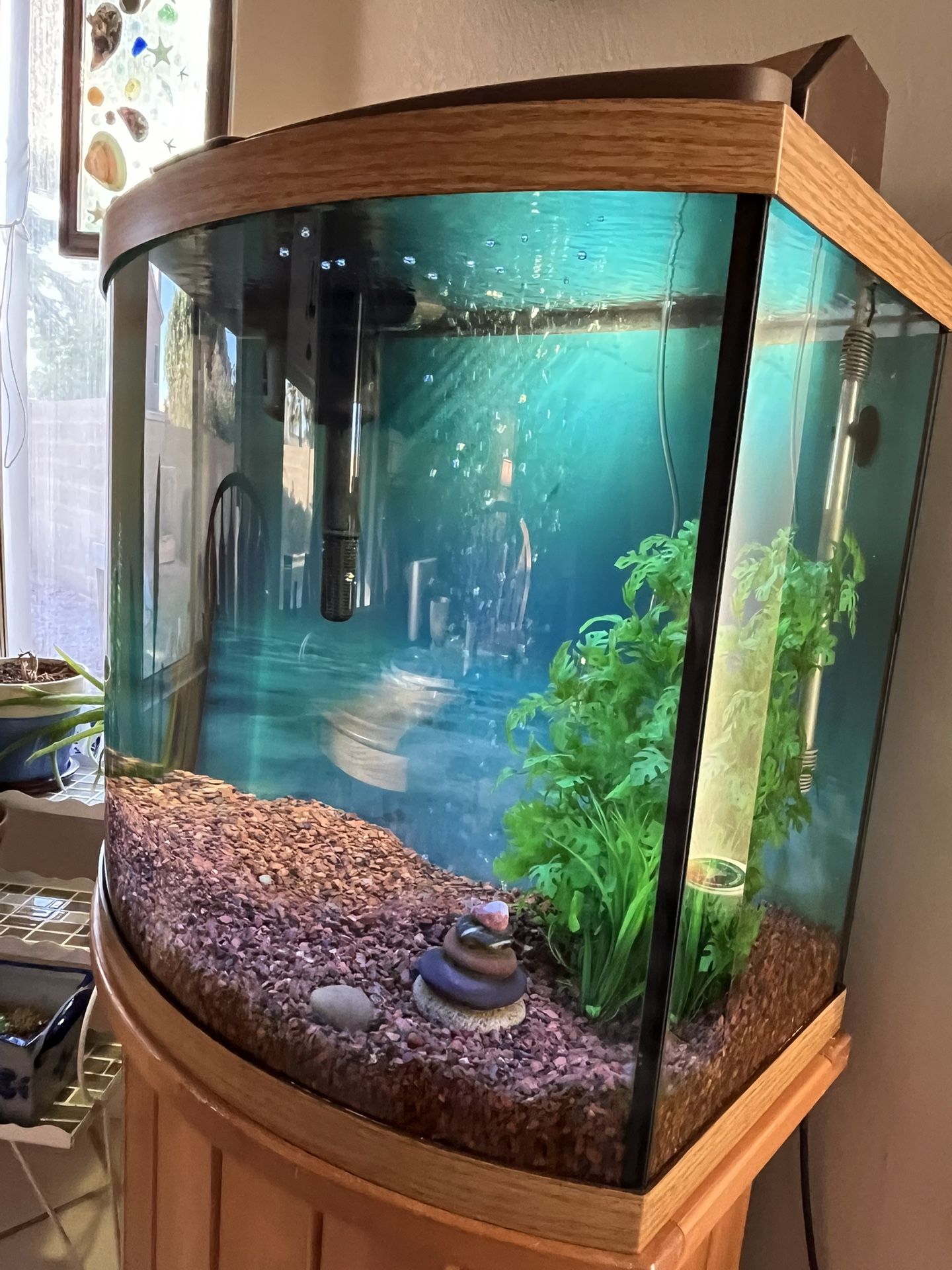 Aquarium For Sale