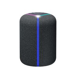 SONY wireless speaker with Alexa/up to 12 hours playback SRS-XB402