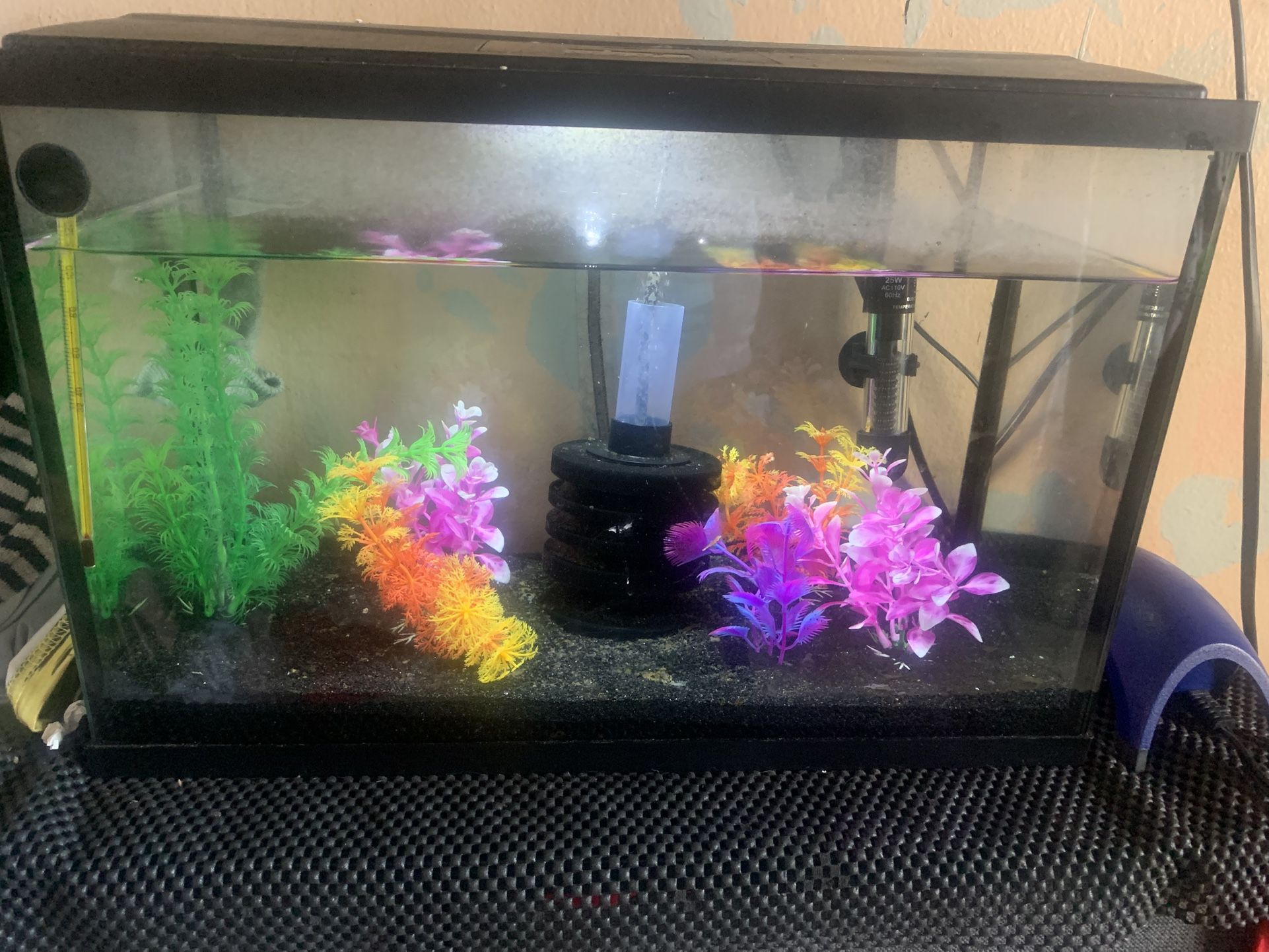 Fish Tank