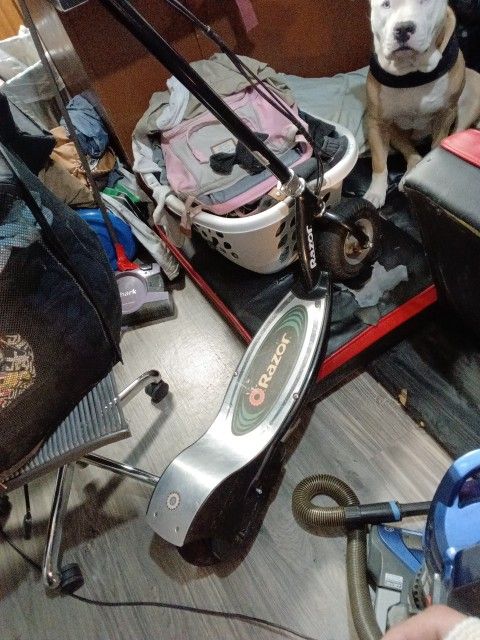Razor Scooter E325 Have Charger And All Works Perfect Asking $50 Obo