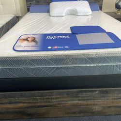 Queen Plush Top Mattress Only $199