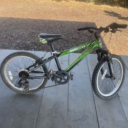 Boys 20” PERFORMANCE Mountain Bike