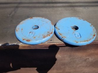 2 5 pound weights. 1 inch hole. $20. Pickup in Oakdale