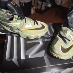 Lebron's 