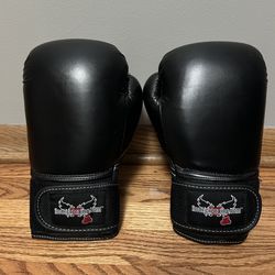 Kickboxing Gloves