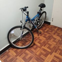 PACIFIC SE.2000.R Mountain Bike 