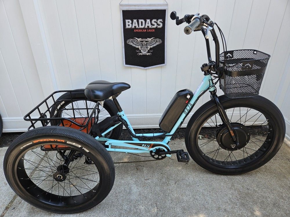 Sunbicycles Baja Fat Tire Electric Trike