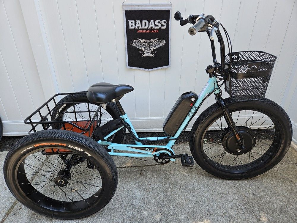 Sunbicycles Baja Fat Tire Electric Trike 