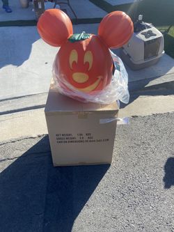 Disneyland Pumpkin 